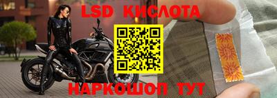 стафф Партизанск
