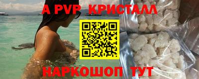 стафф Партизанск